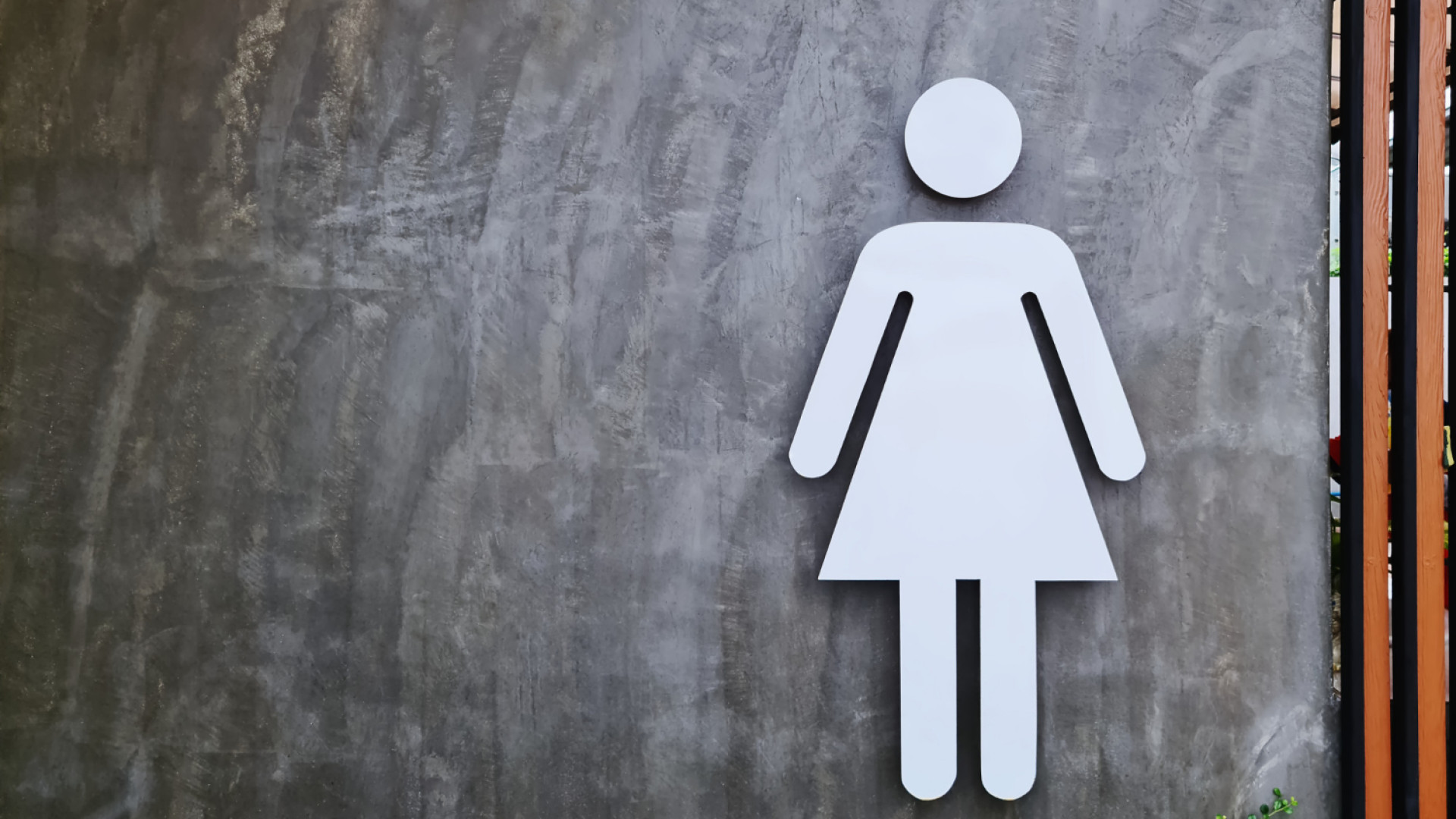Hygiène féminine en entreprise : le rôle des distributeurs adaptés